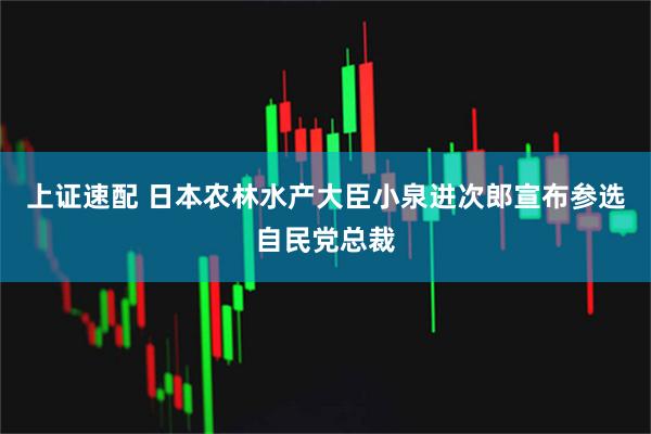 上证速配 日本农林水产大臣小泉进次郎宣布参选自民党总裁