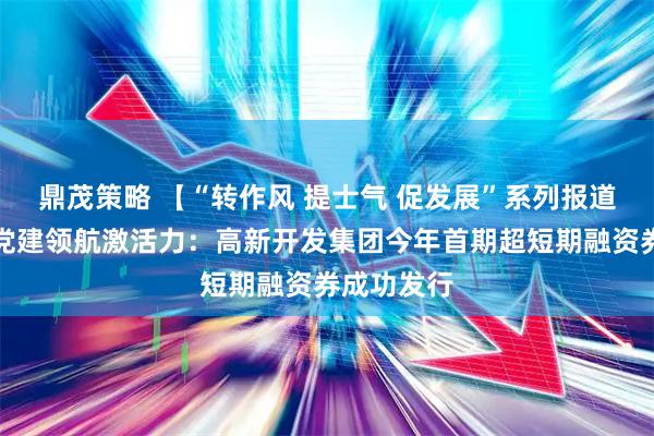 鼎茂策略 【“转作风 提士气 促发展”系列报道（四）】党建领航激活力：高新开发集团今年首期超短期融资券成功发行