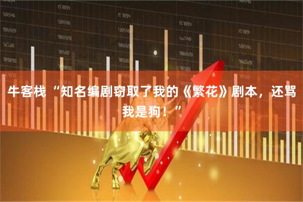 牛客栈 “知名编剧窃取了我的《繁花》剧本，还骂我是狗！”