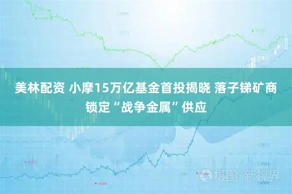 美林配资 小摩15万亿基金首投揭晓 落子锑矿商锁定“战争金属”供应