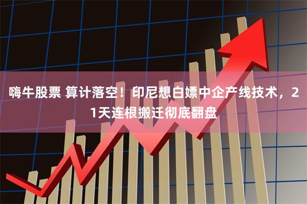 嗨牛股票 算计落空！印尼想白嫖中企产线技术，21天连根搬迁彻底翻盘